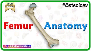 Femur Anatomy Osteology  General features  Attachments  Development anatomy MBBS usmle NMC [upl. by Crissy905]