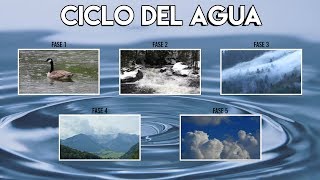 El Ciclo del Agua  Ciencias Naturales  ¿Que es el Ciclo Del Agua [upl. by Ahsienal91]