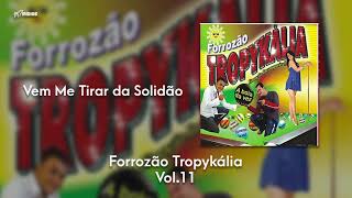 Forrozão Tropykália  Vol 11  Vem Me Tirar da Solidão [upl. by Eilyw]