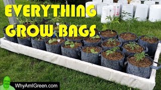 Grow Bags 101  Welcome to my Grow Bag Urban Homestead [upl. by Lyudmila]