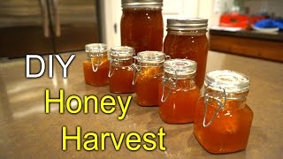 TopBar bee hive honey harvest  first time How to [upl. by Rianna]