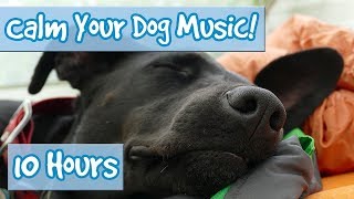 How to Calm Your Dog Down Music Relaxing Music for Dogs to Stop Anxiety and Help Keep them Calm 🐶 [upl. by Gabbert]