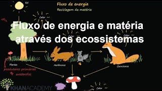 Fluxo de energia e matéria através dos ecossistemas  Ecologia  Biologia  Khan Academy [upl. by Melonie903]