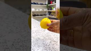 HOW TO MAKE LEMON PEPPER SEASONING 🧂🍋 [upl. by Inele]