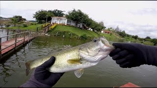 De pesca en La Presa Picachos  Pescando lobinas en muelle ep35 [upl. by Banebrudge]