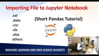 Lesson 1  How to Read Different File Formats in Python Jupyter Notebook  Pandas [upl. by Prowel]