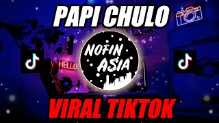 DJ PAPI CHULO KOPLO  REMIX [upl. by Eillas]