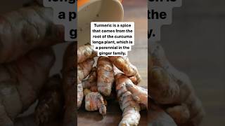 What is turmeric good for [upl. by Ateerys621]