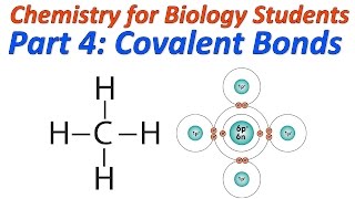 Basic Chemistry for Biology Part 4 Covalent Bonding and Structural Formulas [upl. by Rayford]