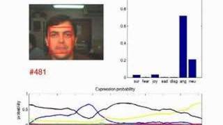 Facial Expression Recognition [upl. by Assenad]