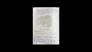 Pteridophytes Topic 5 Classification Morphologyanatomy And Reproduction Of Pteris [upl. by Dzoba356]