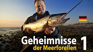 Geheimnisse der Meerforellen 1 Spinnfischen [upl. by Bonar]