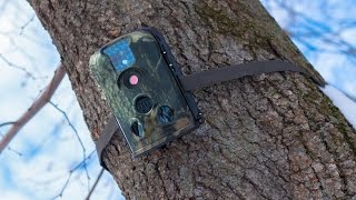 LTL Acorn 5210A Trail Camera [upl. by Innattirb534]