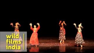 Folk dance from Himachal Pradesh [upl. by Kaiulani]