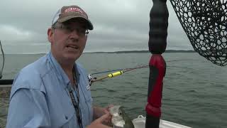 Trolling for Crappie at Enid Lake [upl. by Ennovahs443]