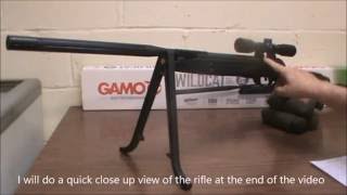 Gamo Wildcat Whisper IGT 22 Cal Pellet Rifle Review [upl. by Ateloiv]