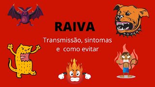 RAIVA transmissão sintomas e como evitar [upl. by Pennebaker658]