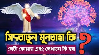 সিদরাতুল মুনতাহা  শবে মেরাজ  সৃষ্টি জগতের শেষ সীমানা  Sidratul Muntaha [upl. by Enneire]