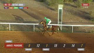 Live Hippodrome « SETTAT »  Courses du « 30112024 » [upl. by Naenej]