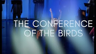 Conference of the Birds  Trailer 1 [upl. by Eymaj]