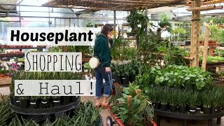 Houseplant Shopping At The Best Plant Nursery  Cactus amp Tropicals Indoor Plant Haul [upl. by Katerine32]