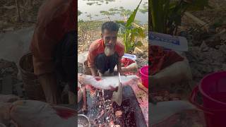 Wonderful Giant Pangas Fish cutting skills🐟 in Local fish Market Part 590 shorts [upl. by Acsehcnarf]