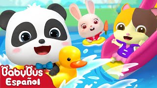 Cinco Niños en la Piscina  Canciones Infantiles  Video Para Niños  BabyBus Español [upl. by Jelle]