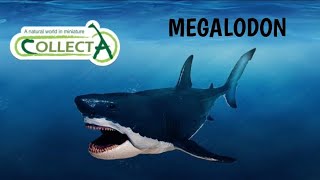 CollectA 2020 Deluxe Megalodon review [upl. by Zel]