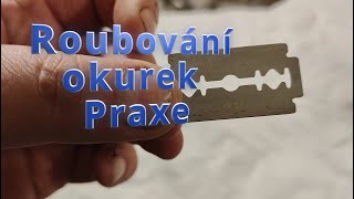 Roubování okurek Praxe 1 [upl. by Ameekahs]