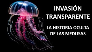 Invasión Transparente la historia oculta de las medusas Medusas mediterráneo VidaMarina [upl. by Lister76]