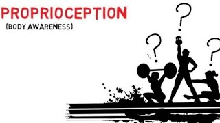 What is Proprioception [upl. by Benildis]