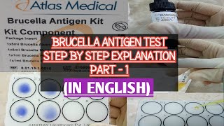 Brucella Antigen TestProcedure amp Practical explained step by stepPart 1Abortus amp Mellitus Species [upl. by Perceval]