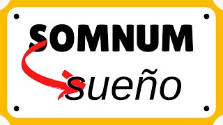 SOMNUM › «sueño» EVOLUCIÓN LATÍN › español [upl. by Allmon]