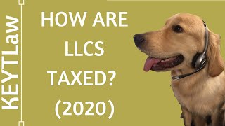 LLC Taxes Explained 2024 [upl. by Feldman]