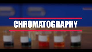 How To Do A Chromatography Experiment BBC Bitesize KS3 Chemistry [upl. by Xever]