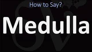 How to Pronounce Medulla CORRECTLY [upl. by Haeli213]