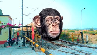 omg monkey king funny new train videos  monkey king video  monkey funny train wala video  train [upl. by Nettirb]