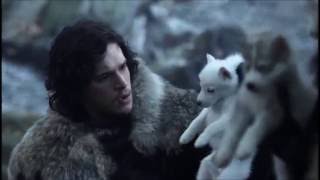 Game of Thrones S1E1 Direwolf Pups [upl. by Erle]