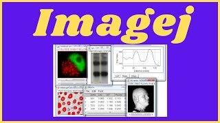 StepbyStep Guide How to Use ImageJ for Image Analysis [upl. by Chu]