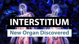 Interstitium  New Organ Discovered  Science Breakthroughs  One Minute Facts  Prep4School [upl. by Sylvia]