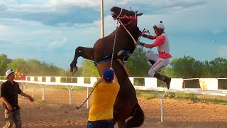 Carreras de Caballos en los Mezquites 11 de Agosto 2021 [upl. by Mlohsihc221]