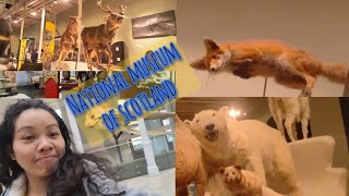 JOURNEY OF NATIONAL MUSEUM OF SCOTLANDvlog [upl. by Bacchus]