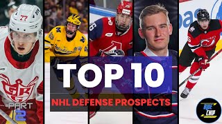 Top 10 Defense Prospects in The NHL  Part 2 [upl. by Berlauda268]