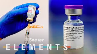 What’s In the Pfizer amp Moderna COVID Vaccines [upl. by Othe799]