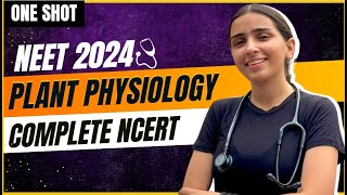 NEET 2024 Plant Physiology in One Shot  Class11 Biology [upl. by Aihsiym]