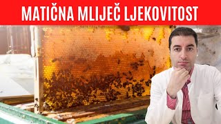 MATIČNA MLIJEČ  LJEKOVITOST [upl. by Alleynad756]