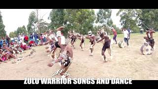 ZULU WARRIOR SONGS AND DANCE  IZINTO ZOMHLABA [upl. by Aneehsak]