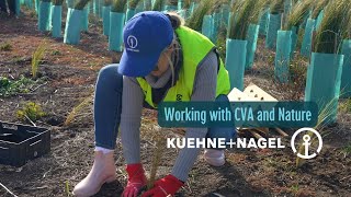 Kuehne  Nagel on volunteering with CVA buildbacknature [upl. by Eelasor974]