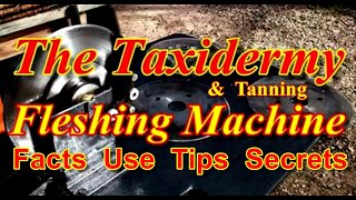 The Tanning and Taxidermy FLESHING MACHINE Video 175 [upl. by Beitnes]