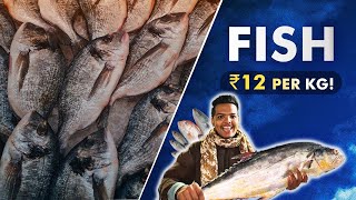 Hyderabad’s Biggest Fish🐟 Market Very Cheap Rate’s On FishPrawn🍤ampCrabs🦀Musheerabad Fish Market [upl. by Ninnette828]